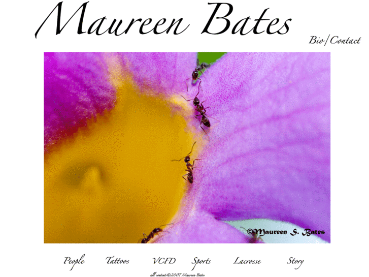 www.maureenbates.com