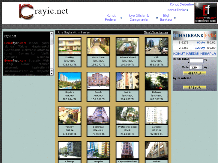 www.rayic.net