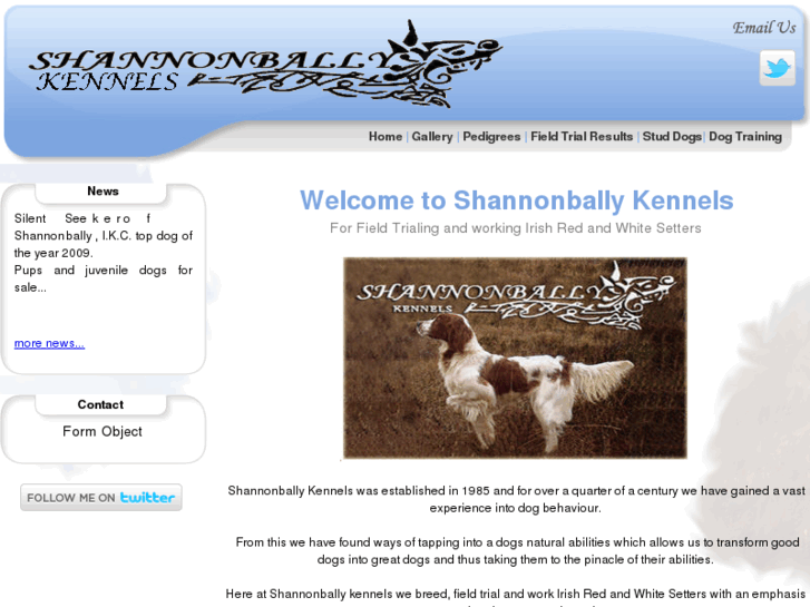 www.shannonbally.com