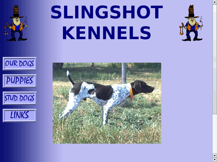 www.slingshotkennels.net