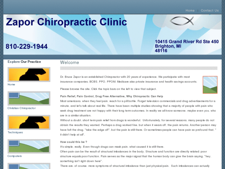 www.zaporchiropractic.com