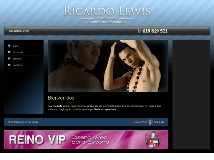 www.ricardolewis.es