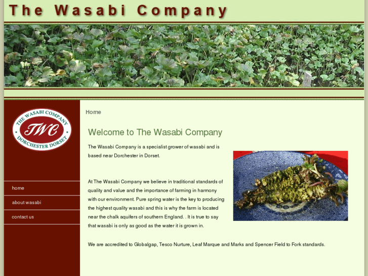 www.thewasabicompany.com