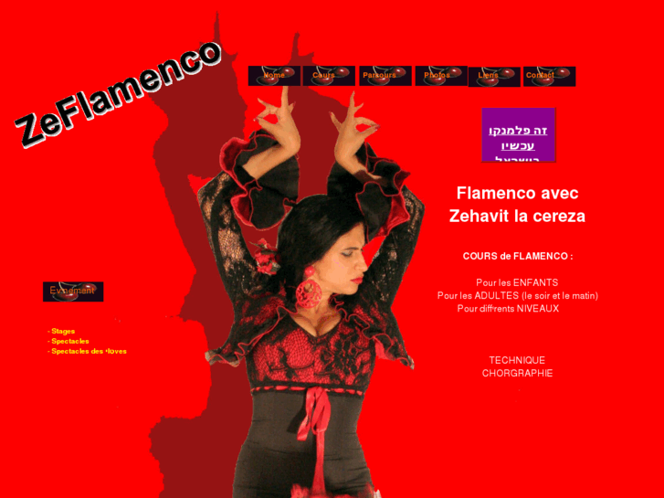 www.zeflamenco.com