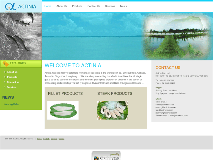 www.actiniavn.com