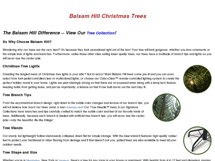 www.balsam-hill-christmas-trees.com