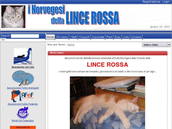 www.lincerossa.com