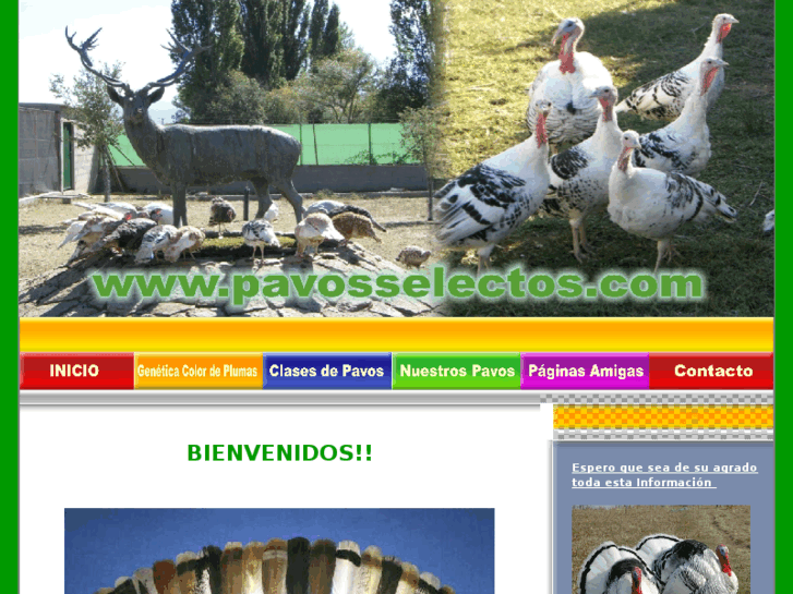 www.pavosselectos.com