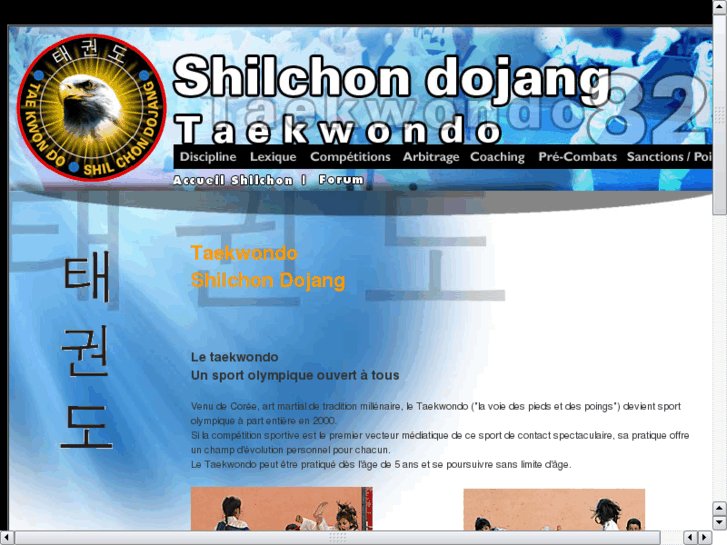 www.shilchon-taekwondo.com