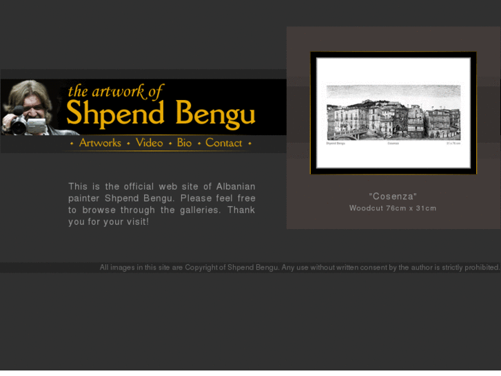 www.shpendbengu.com