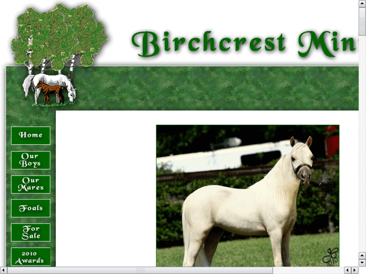 www.birchcrestminis.com