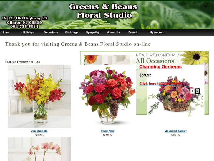 www.greensnbeans.com