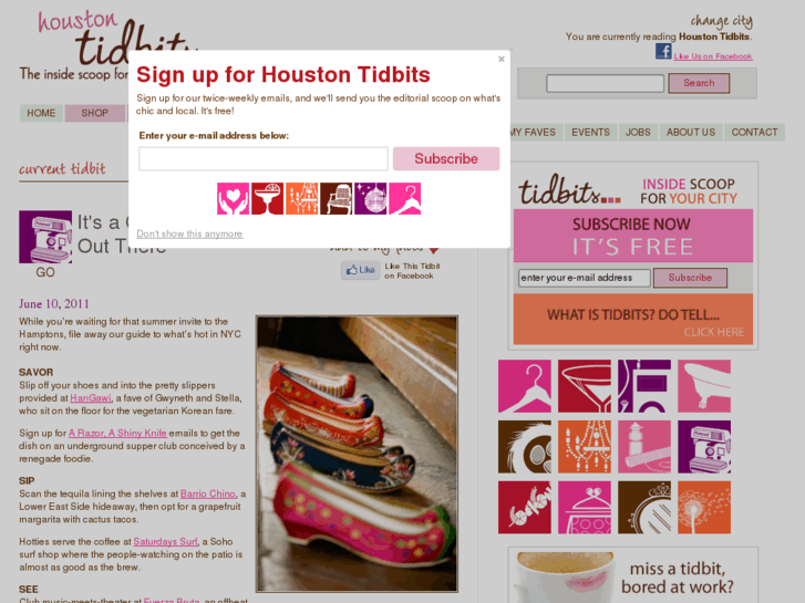 www.houstontidbits.com