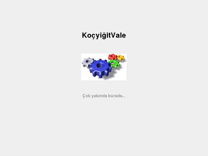 www.kocyigitvale.com