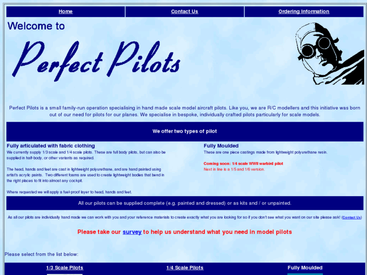 www.perfect-pilots.com