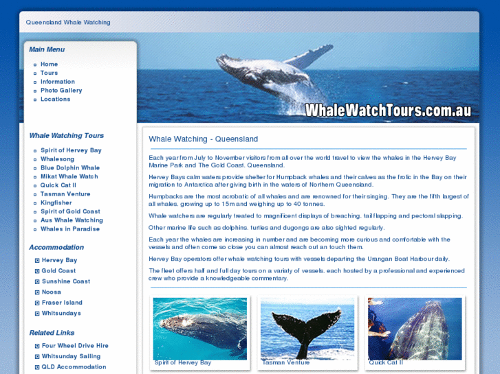 www.whalewatchtours.com.au