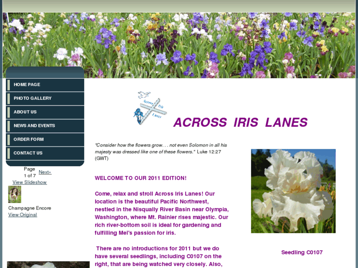 www.acrossirislanes.com