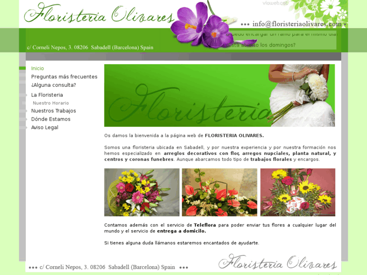 www.floristeriaolivares.com