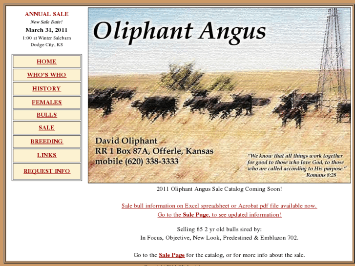 www.oliphantangus.com