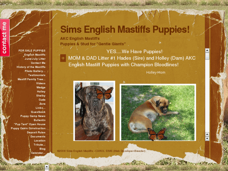 www.simsenglishmastiffs.com