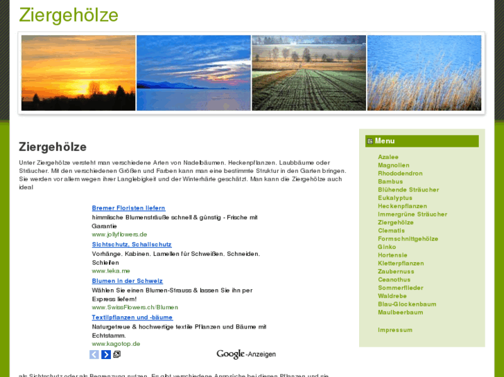 www.ziergehoelze.net