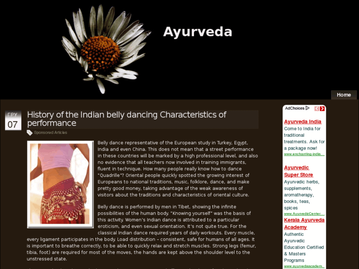 www.ayurveda-usa.info