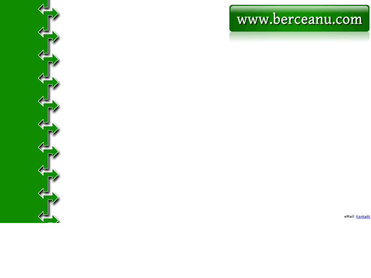 www.berceanu.com