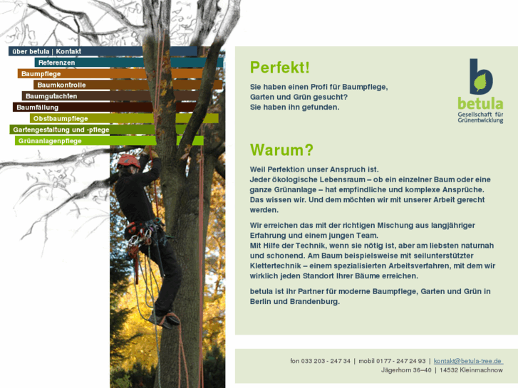www.betula-tree.de