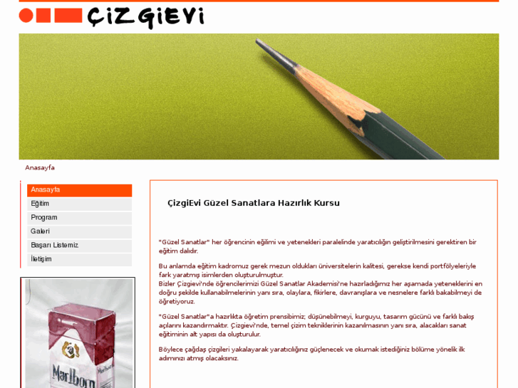 www.cizgievi.com