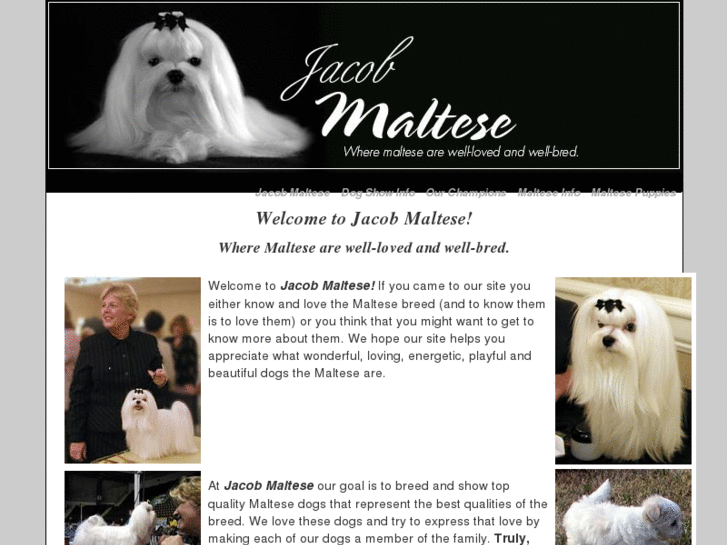 www.jacobmaltese.com