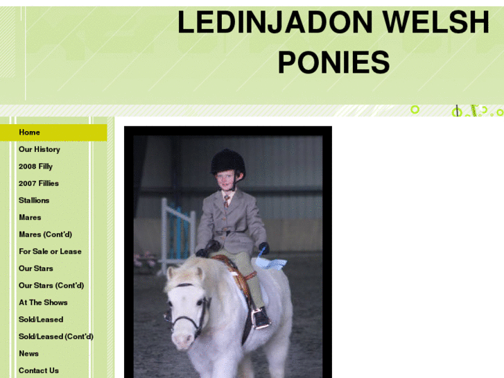 www.ledinjadonwelshponies.com