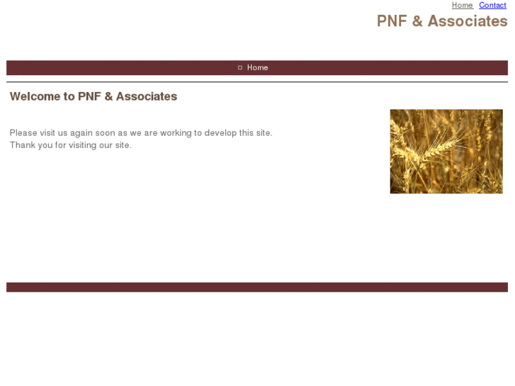 www.pnfandassociates.com