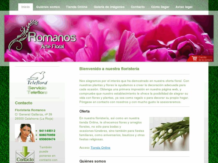 www.romanos-floristas.es