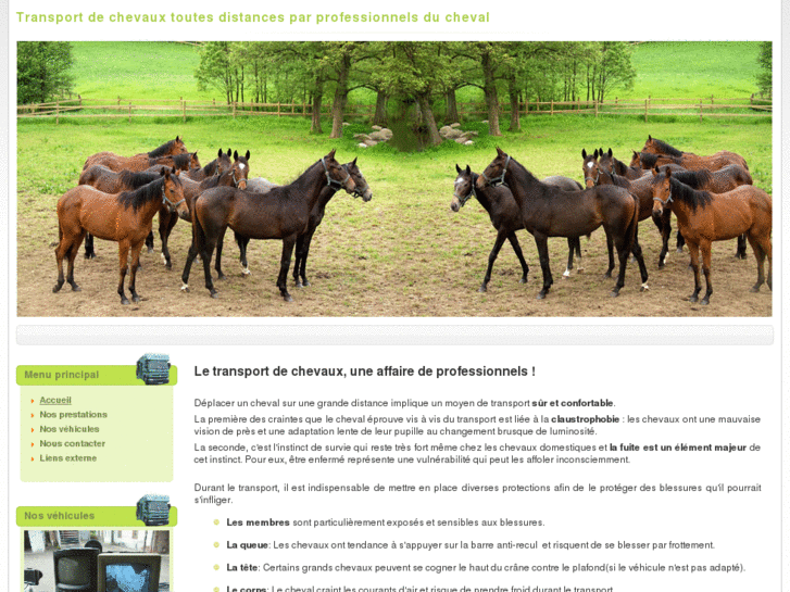 www.transport-chevaux.fr