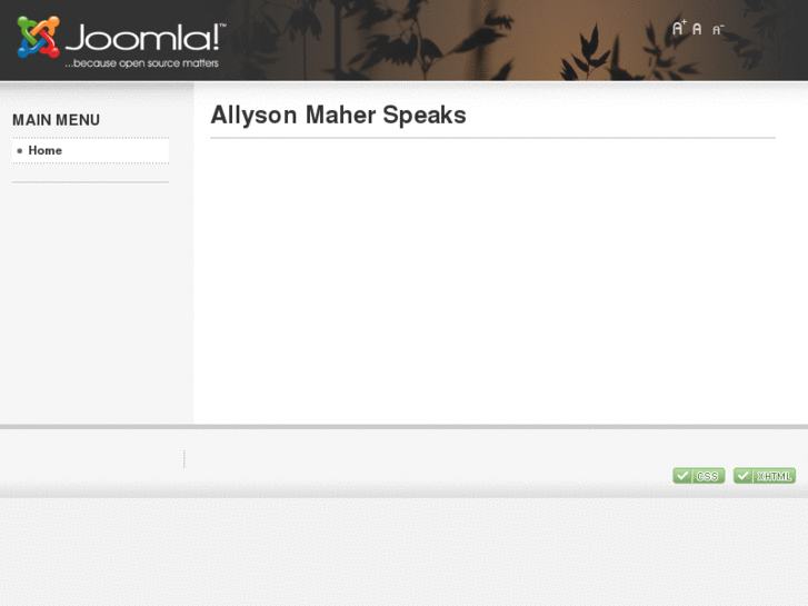 www.allymaher.com