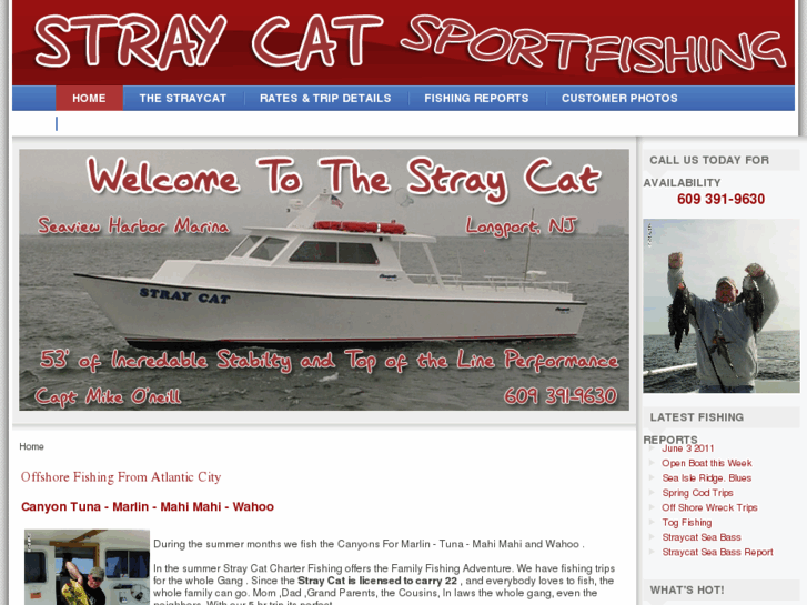 www.captmikesstraycat.com