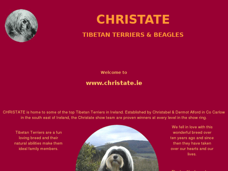 www.christatetibetanterriers.com