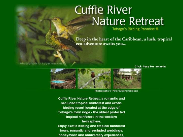 www.cuffie-river.com