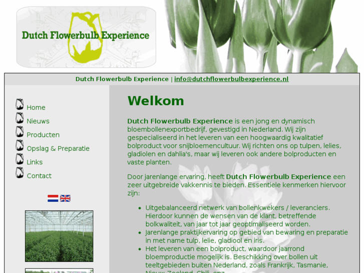 www.dutchflowerbulbexperience.nl