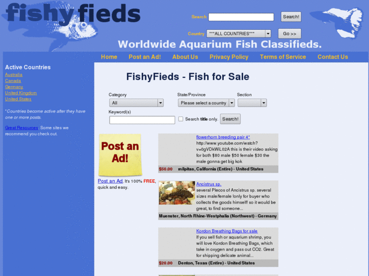 www.fishyfieds.com