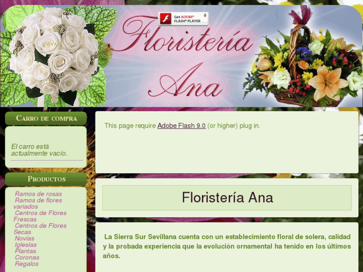 www.floristeriaanaestepa.com