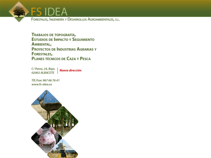 www.fs-idea.es