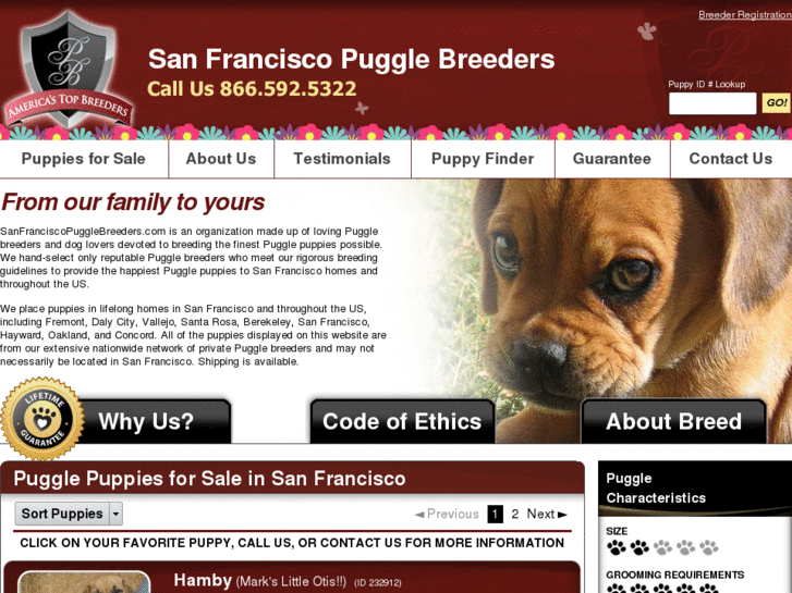 www.sanfranciscopugglebreeders.com