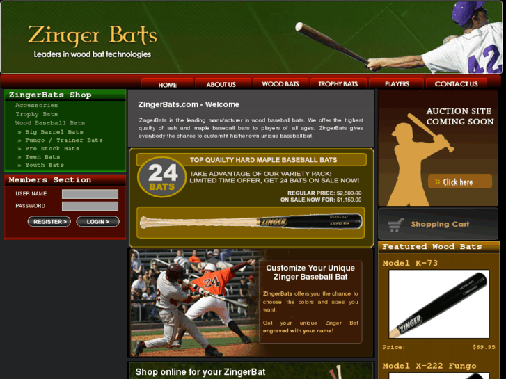 www.zingerbats.com