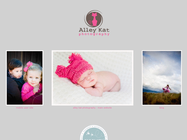 www.alleykatphotography.com