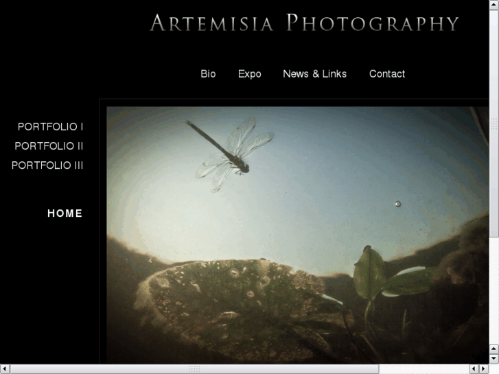 www.artemisia-photography.nl