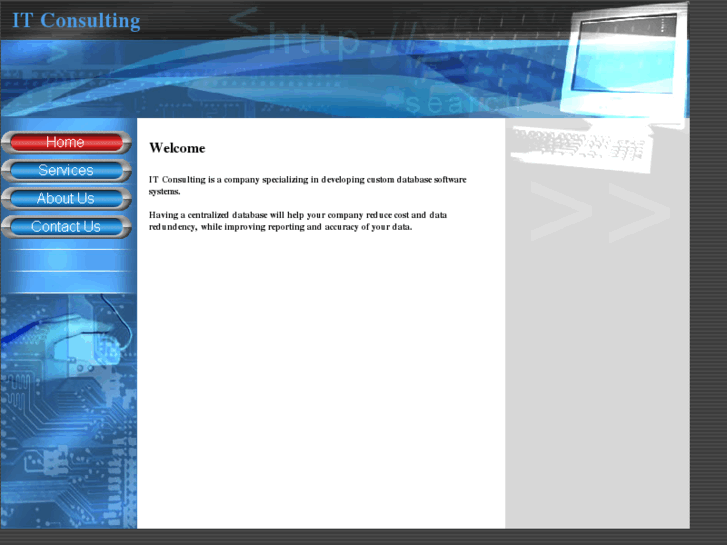 www.go-itconsulting.com