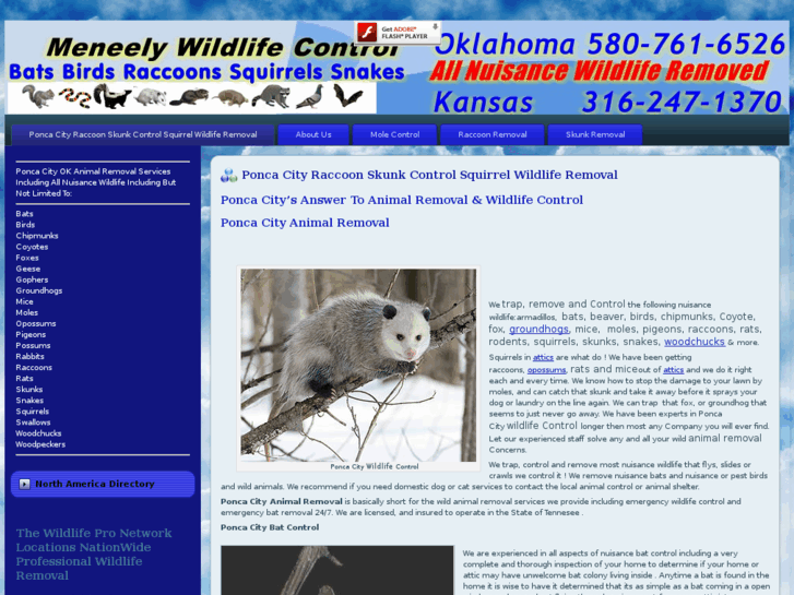 www.ponca-ok-bat-bird-racoon-squirrel-skunk-wildlife-removal.com