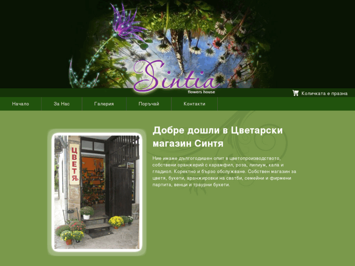 www.sintiastore.com