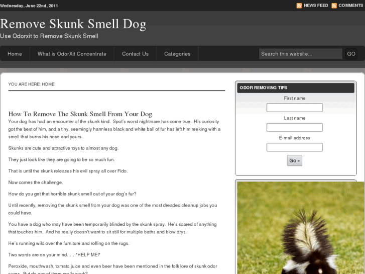 www.skunksmelldog.com